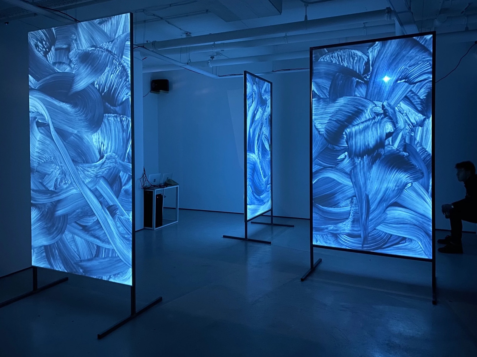 Audio Visual Installation DIVE Lychee One Gallery 2020 — Rear Projection Screens 3 x 1300 x 2400