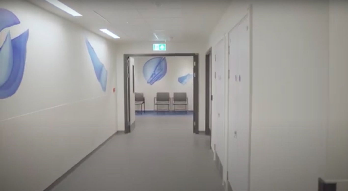 Nature Led — Royal Brompton Diagnostic Centre — artistic wayfinding
