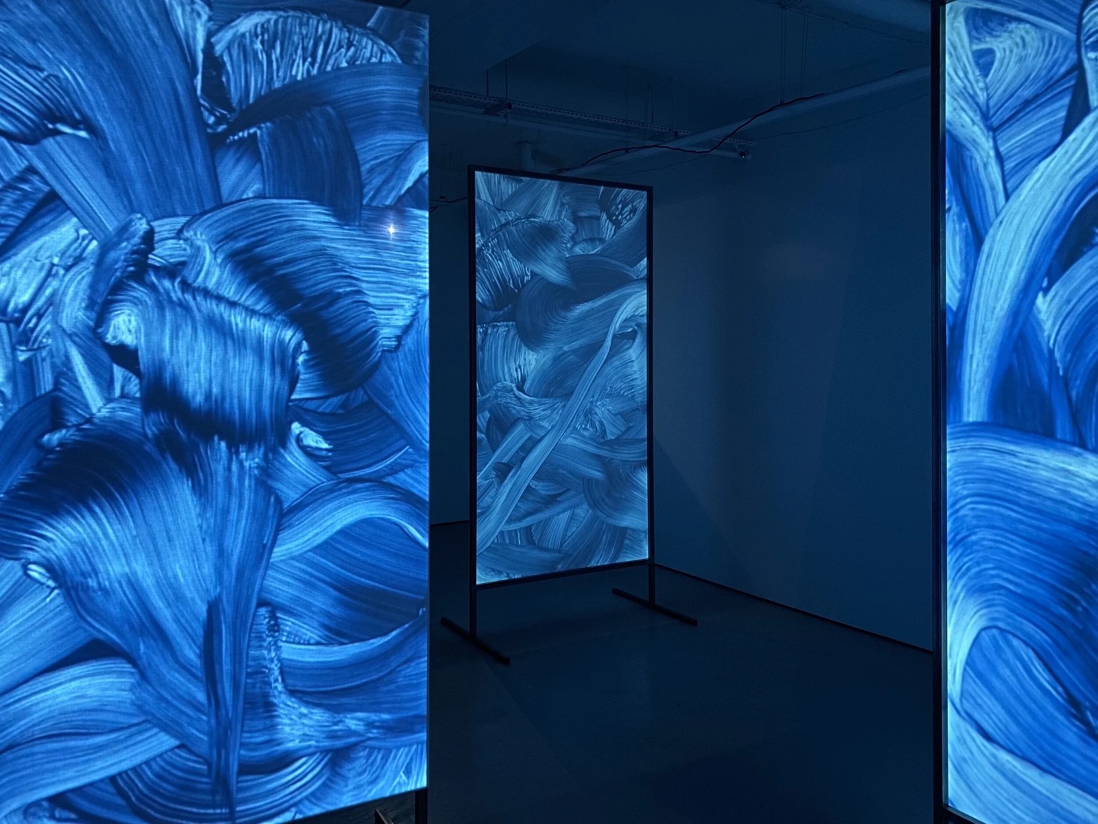 DIVE installation, Lychee One 2020