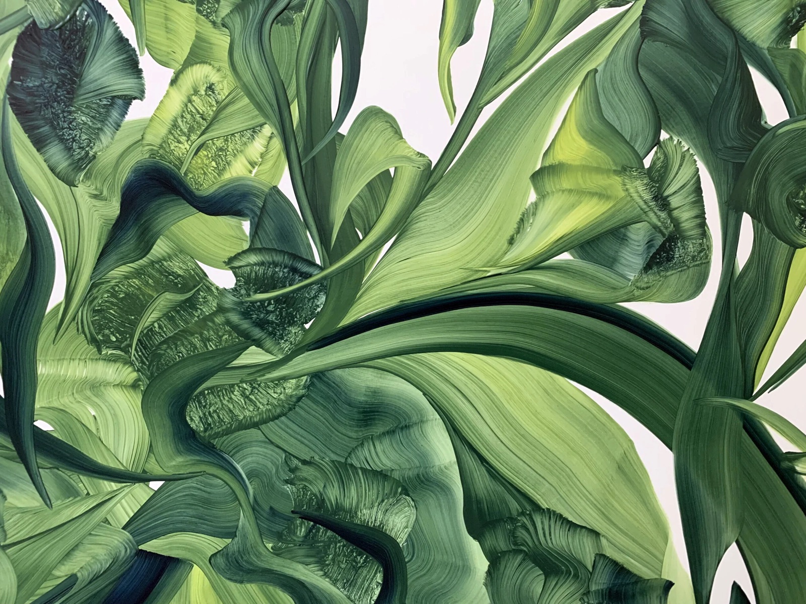Green Space — Enya Lachman-Curl