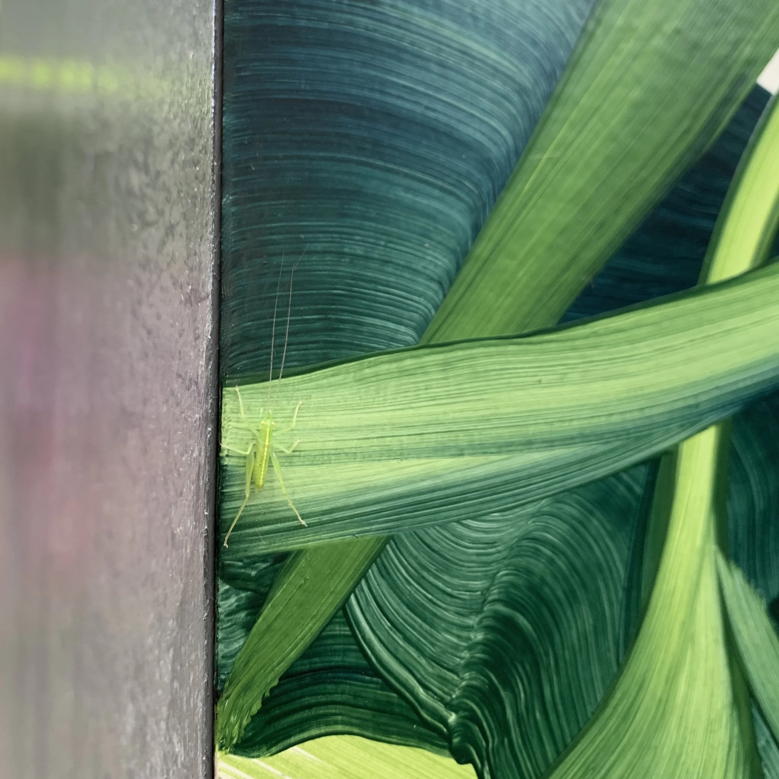 Green Space (detail) — 2019 Exhibition Road