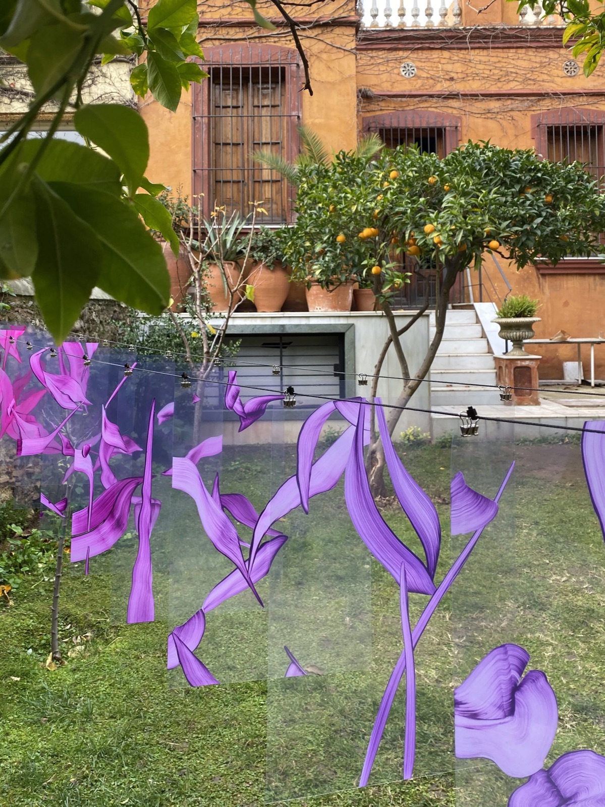 H2O garden installation — oil on acetate