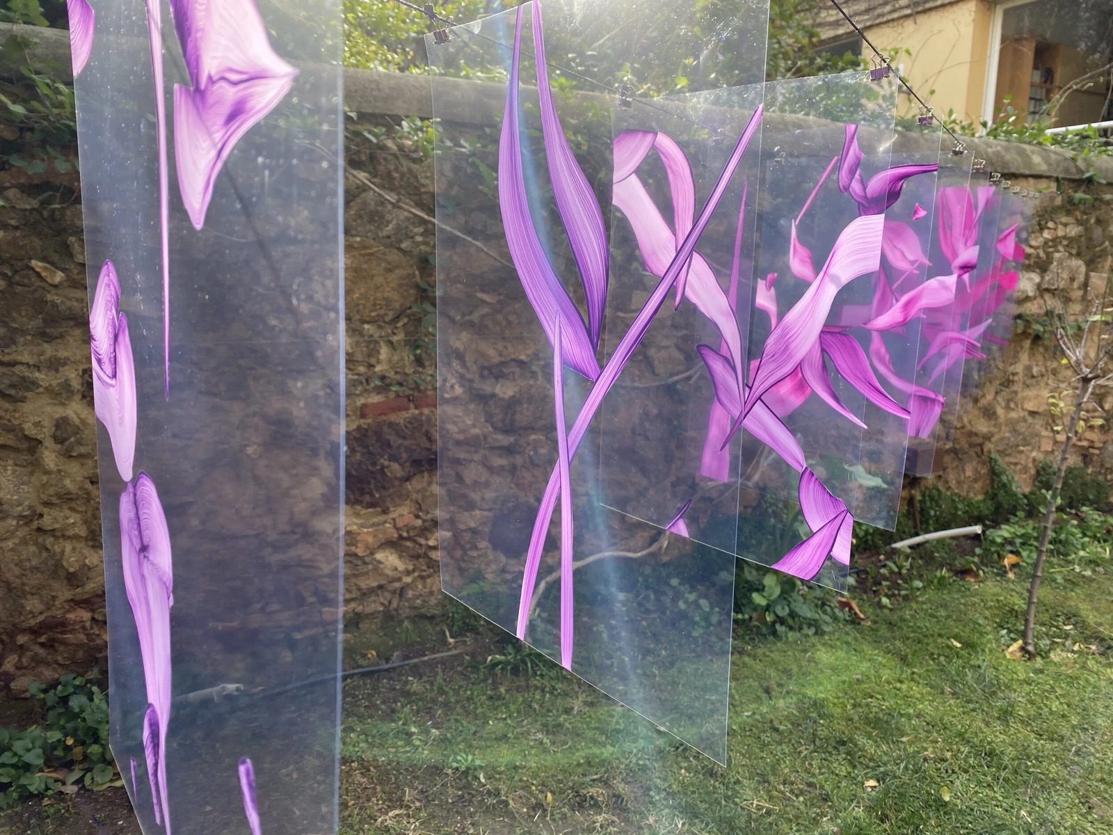 H2o Garden Installation — oil paint on acetate 20 x A3