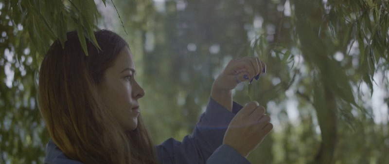 Feature and film stills