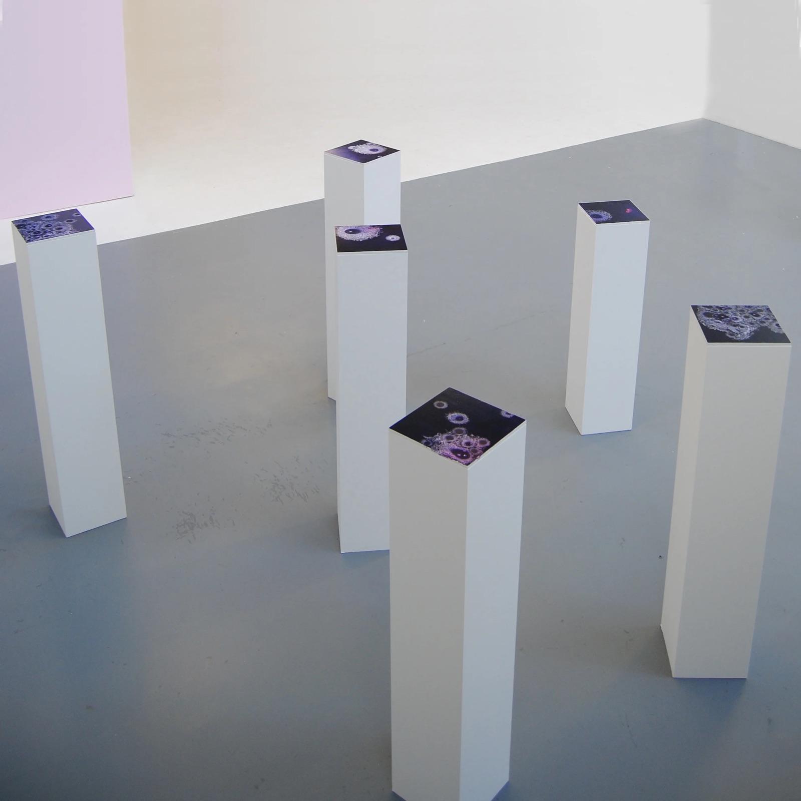 Puddles Installation — oil on board on plinths 6x H 120cm W 23.6 x 23.6 2017